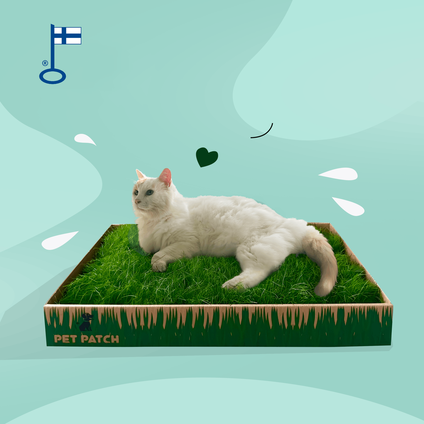 Pet Patch kissoille