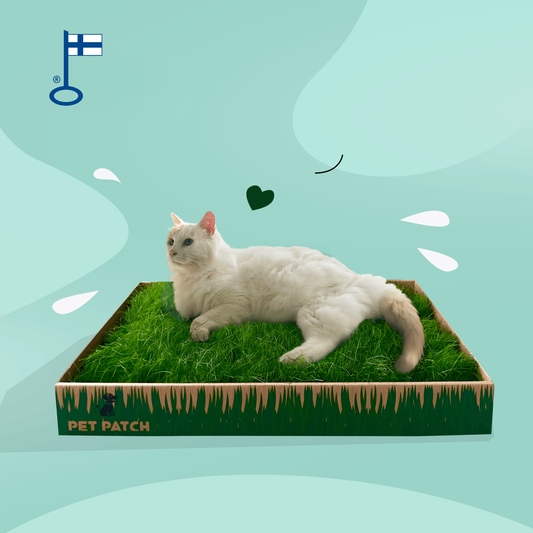 Pet Patch kissoille