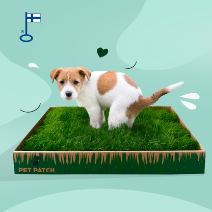 Pet Patch -standardi