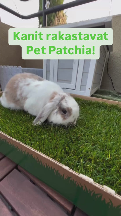 Pet Patch kaneille