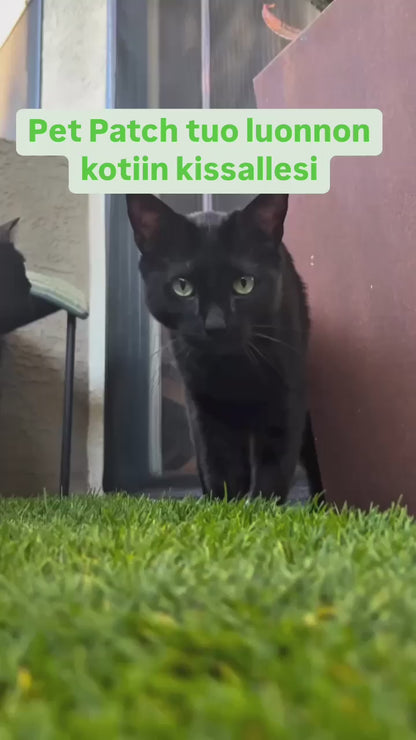 Pet Patch kissoille
